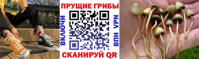 Галлюциногенные грибы прущие грибы  как найти закладки  Шацк 