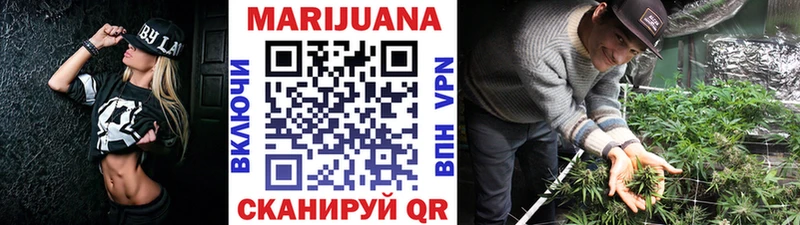 Канабис планчик Шацк